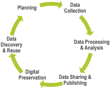 Research data life cycle